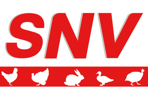 SNV