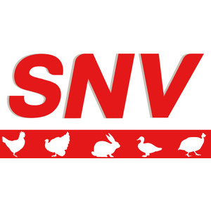 SNV