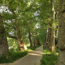 Sur le chemin de l'Insee, bords de Sèvre côté Nantes
