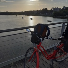 Sur le chemin de l'Insee, la Loire depuis le pont Senghor