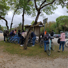 Promenade à vélo collective entre agents et élus