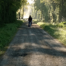 DANS LA BRUME DE BON MATIN