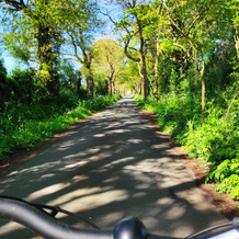 Sur le chemin