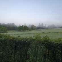 Dans la brume
