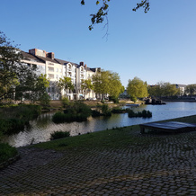Sur les quais