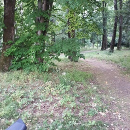 Chemin boisé vers l'Insee de Nantes