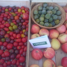 dégustation fruits de saison et échanges sur la mobilité