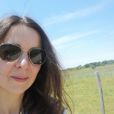 Sur le chemin d'Avrillé