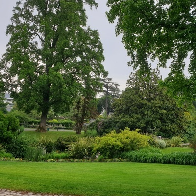 sur le chemin du centre ville
