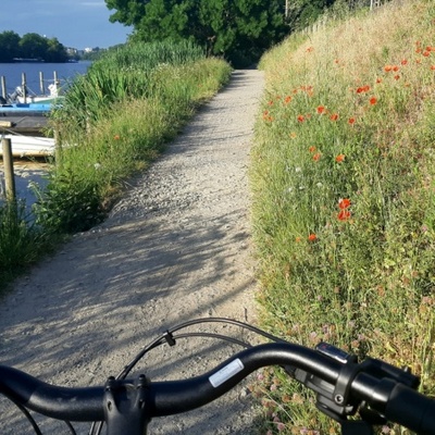 Quand trajet au boulot rime avec balade à vélo