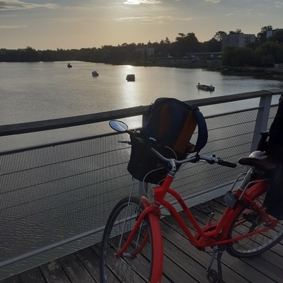 Sur le chemin de l'Insee, la Loire depuis le pont Senghor