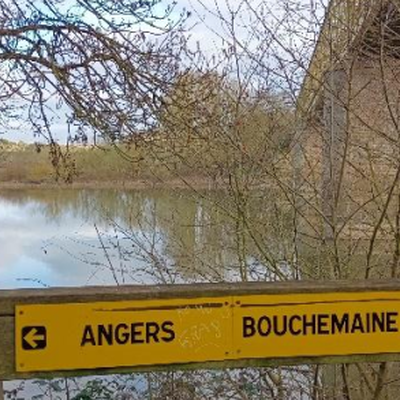 https://bergson.paysdelaloire.e-lyco.fr/vie-du-lycee/actualites-vie-du-lycee/presentation-des-trajets-cyclables-bouchemaine-lycee-et-beaucouze-lycee-par-deux-delegues/