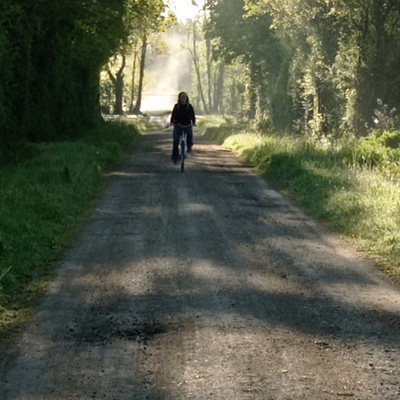 DANS LA BRUME DE BON MATIN
