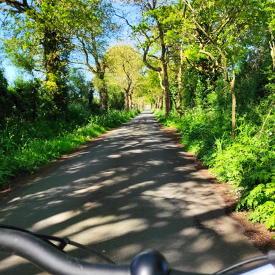 Sur le chemin
