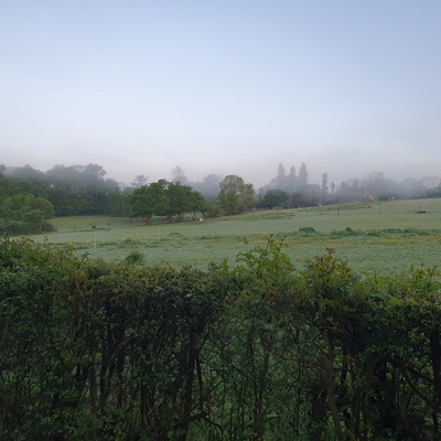 Dans la brume