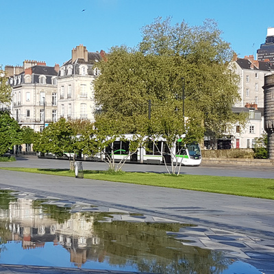 Reflet