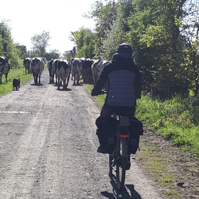 A chacun son rythme à Clisson Sèvre et Maine Agglo