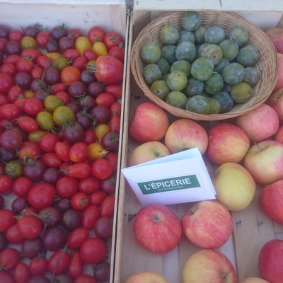 dégustation fruits de saison et échanges sur la mobilité