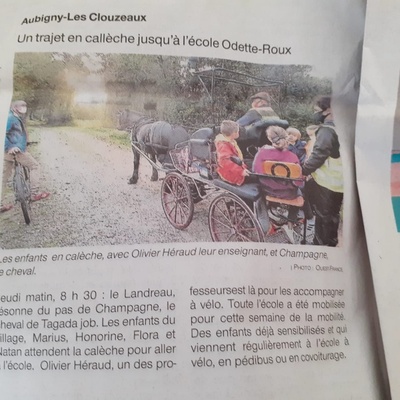 Les trajets en calèche dans la presse locale