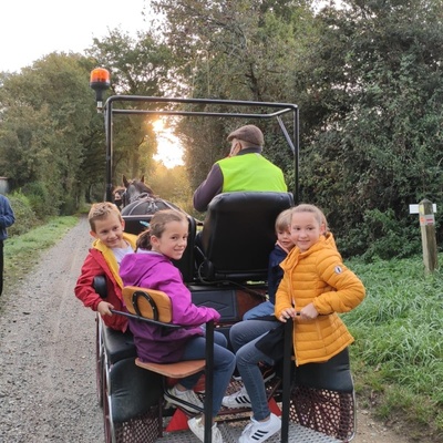 L'association Tagada JOB est venue effectuer des trajets en calèche!